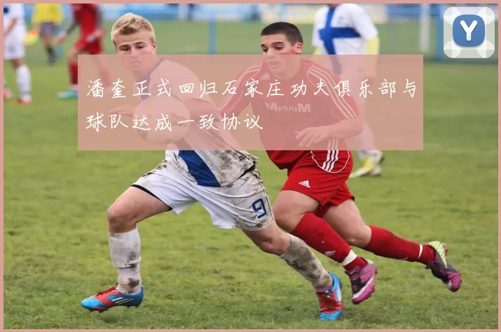 潘奎正式回归石家庄功夫俱乐部与球队达成一致协议