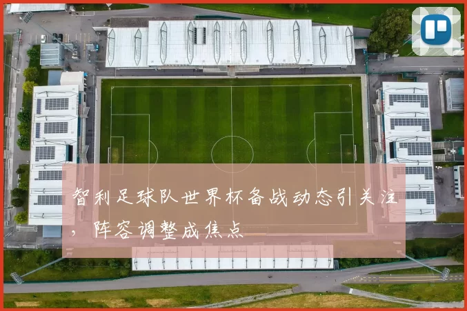 智利足球队世界杯备战动态引关注,阵容调整成焦点