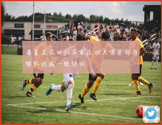 潘奎正式回归石家庄功夫俱乐部与球队达成一致协议