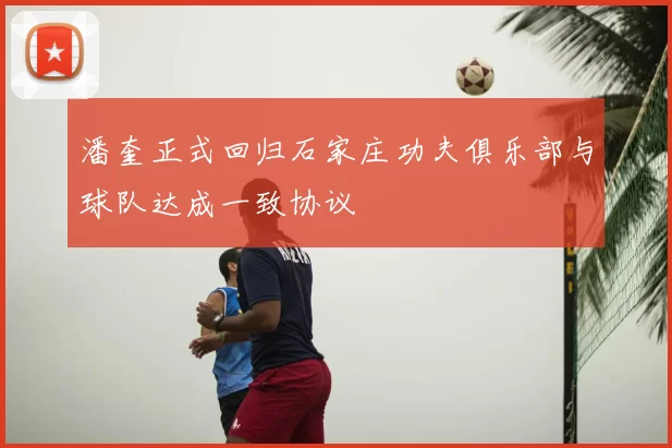 潘奎正式回归石家庄功夫俱乐部与球队达成一致协议
