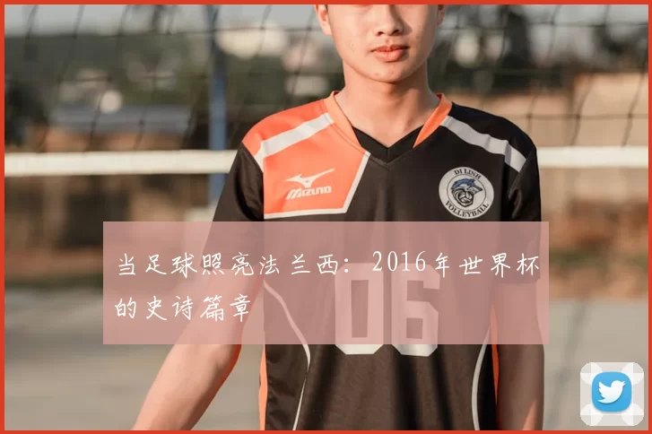 当足球照亮法兰西:2016年世界杯的史诗篇章