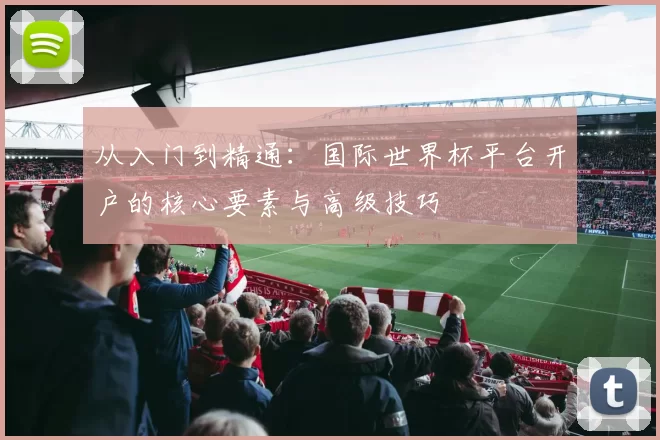 从入门到精通：国际世界杯平台开户的核心要素与高级技巧