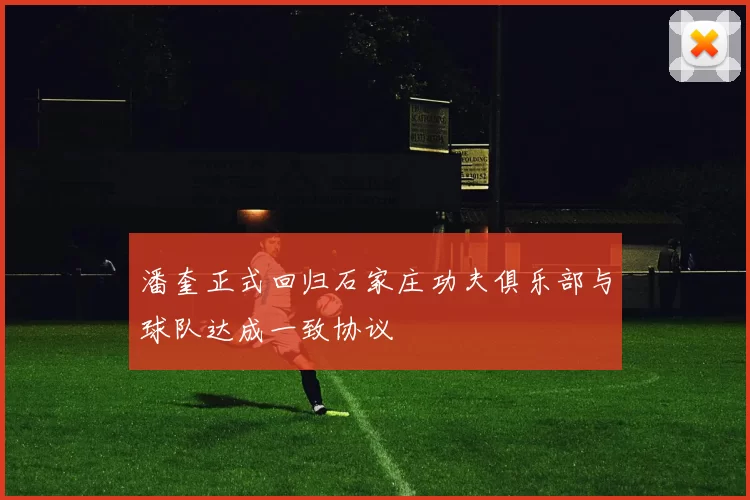 潘奎正式回归石家庄功夫俱乐部与球队达成一致协议