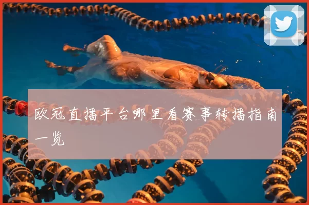 欧冠直播平台哪里看赛事转播指南一览