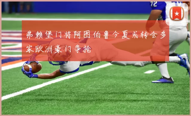 弗赖堡门将阿图伯鲁今夏或转会多家欧洲豪门争抢