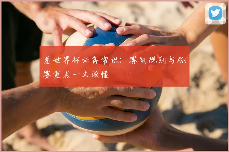看世界杯必备常识：赛制规则与观赛重点一文读懂