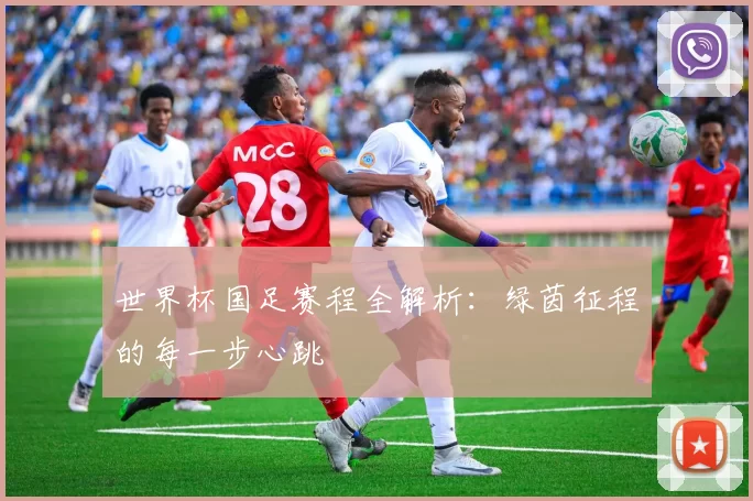 世界杯国足赛程全解析:绿茵征程的每一步心跳