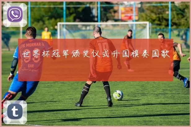 世界杯冠军颁奖仪式升国旗奏国歌