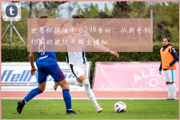 世界杯投注平台V98专访:从新手到行家的进阶之路全揭秘