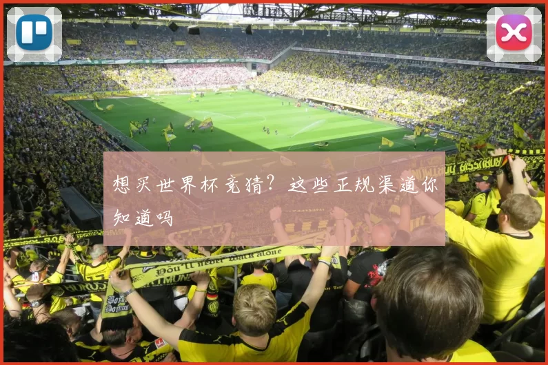 想买世界杯竞猜？这些正规渠道你知道吗