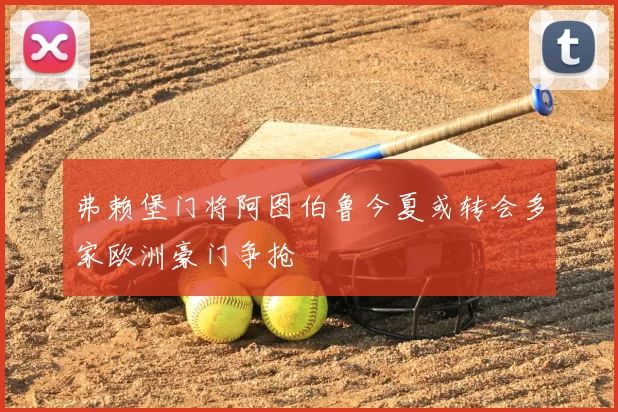 弗赖堡门将阿图伯鲁今夏或转会多家欧洲豪门争抢