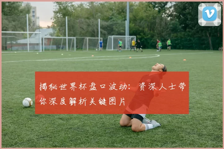 揭秘世界杯盘口波动：资深人士带你深度解析关键图片