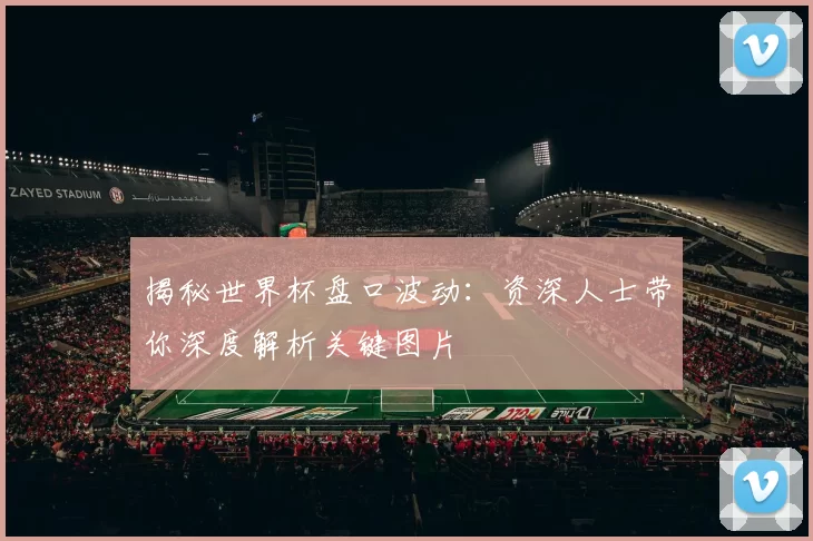 揭秘世界杯盘口波动:资深人士带你深度解析关键图片