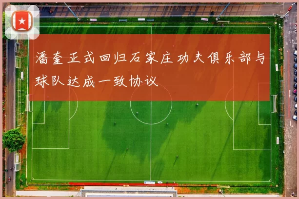 潘奎正式回归石家庄功夫俱乐部与球队达成一致协议