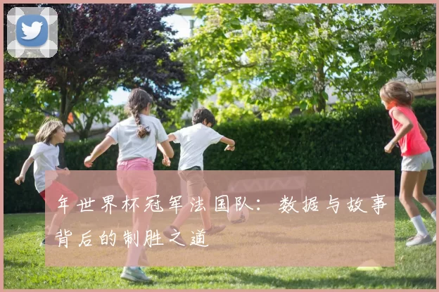 年世界杯冠军法国队：数据与故事背后的制胜之道