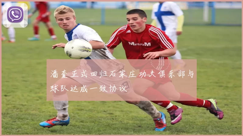 潘奎正式回归石家庄功夫俱乐部与球队达成一致协议