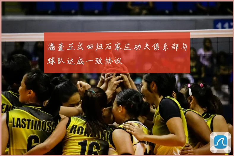 潘奎正式回归石家庄功夫俱乐部与球队达成一致协议
